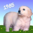 tammy as a puppy in 1985